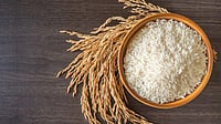 Rice Exporters Seek Urgent Relief as Iran Crisis Disrupts Exports, Shipping freepik