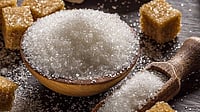India's 2025-26 Sugar Output Estimate Cut 4.4% to 28.3 Mn Tonne on Weather Woes: AISTA