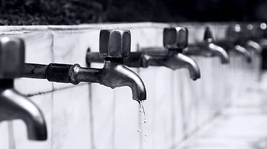 Photo by PS Photography