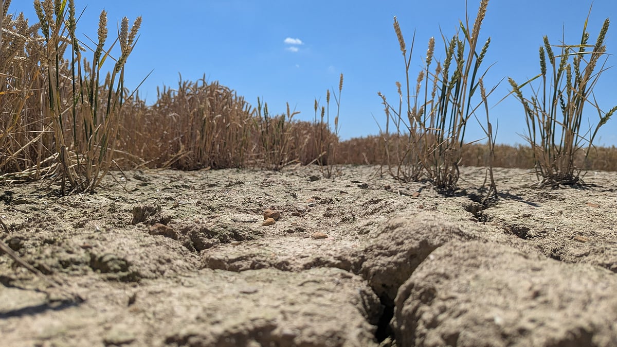 El Nino May Weaken India’s Monsoon Amid Forecast of Hotter Months: Report