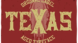 Image from Free Pik : Texas City