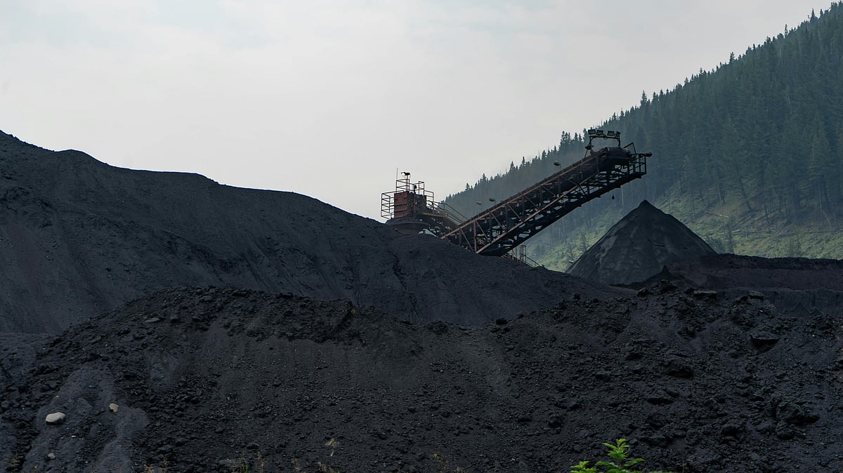 Photo by Braeson Holland