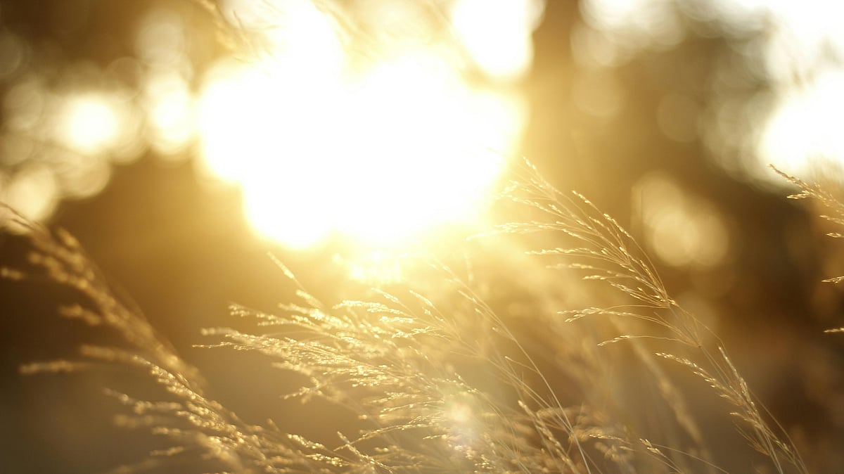 Super El Niño Could Increase Global Temperatures to Unprecedented Highs, Say Reports