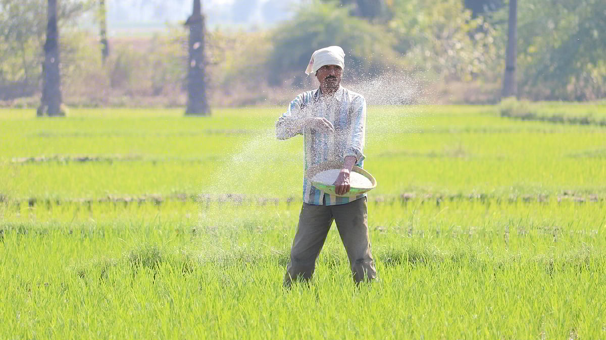 India depends on fertiliser imports for farming - Photo by Vinay kumar Bairi