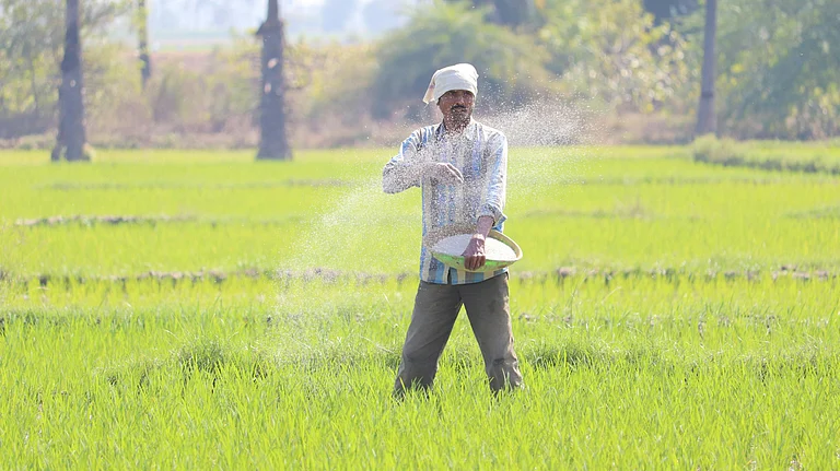 India depends on fertiliser imports for farming - Photo by Vinay kumar Bairi