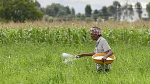 Strait to Farms: West Asia War Hits Fertiliser Supply—Can India Look Beyond?
