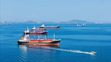 Photo by Shutterstock