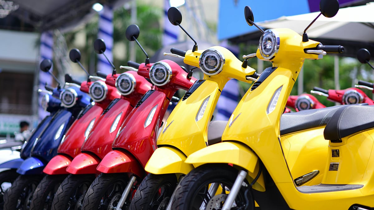 Photo by Sóc Năng Động