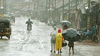 India’s 2026 Monsoon May Fall Short as El Nino Returns — Here’s Why Monsoon rainfall
