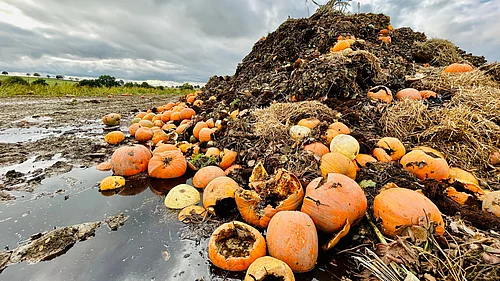 Agricultural residue in fields highlights both waste challenges and economic potential