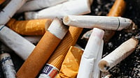 Cigarettes burnt amid expected price hikes