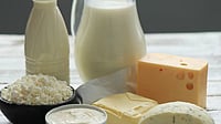 Shah Announces Plans For Dairy Sector Expansion In Ladakh; 50k-Ltr/Day Plant To Come Up In Leh Freepik : Shah Announces Plans For Dairy Sector Expansion In Ladakh; 50k-Ltr/Day Plant To Come Up In Leh