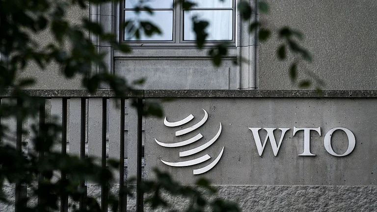 India Should Adopt Dual-Track Trade Strategy At WTO, Say Experts - null