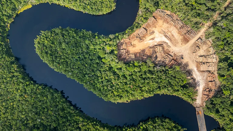 Aerial view of dense Amazon rainforest facing rising climate and deforestation pressures - null