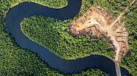 Aerial view of dense Amazon rainforest facing rising climate and deforestation pressures