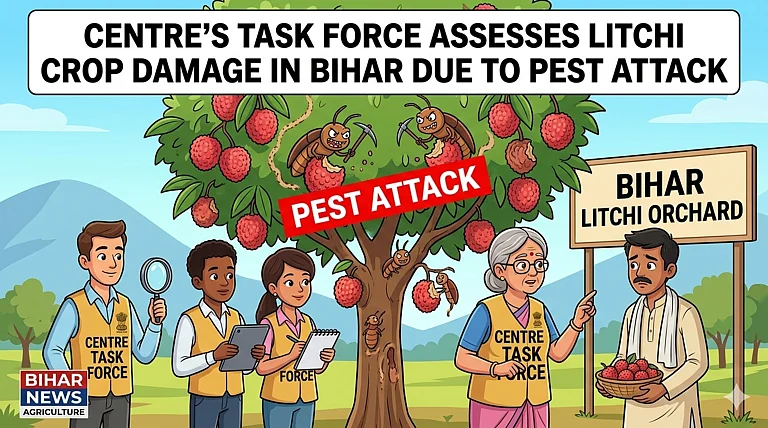 Task Force To Assess Litchi Crop Damage In Bihar Due To Pest Attack: Centre - Image Generated Using Gemini AI