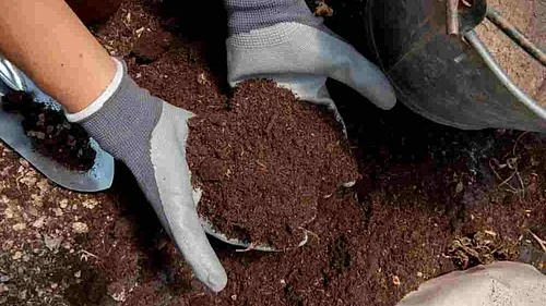 IBA Calls for 10% Fermented Organic Manure Blending With Fertilizers to Save $2 bn Imports