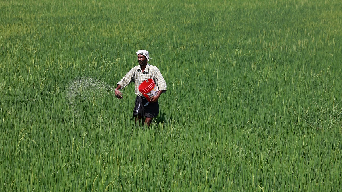 Fertilised agricultural field with farmers preparing soil during sowing season in India - null