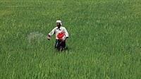 Fertilised agricultural field with farmers preparing soil during sowing season in India