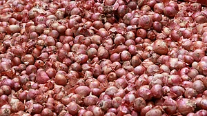 Farmers protest falling crop prices amid rising retail food inflation across India