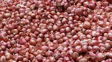 Why Farmers Dump Crops Even as Consumers Pay More
