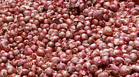 Why Farmers Dump Crops Even as Consumers Pay More Farmers protest falling crop prices amid rising retail food inflation across India