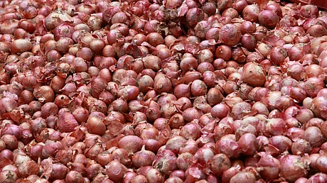Can Onion Prices Be Tamed? Centre Plans Buffer Stock Release From September