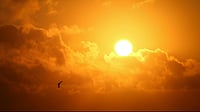 intense summer heat during Extreme weather conditions in India