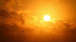 intense summer heat during Extreme weather conditions in India