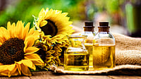ODonnell Photograf : India's Edible Oil Imports Rise 3% in FY26 on Nepal Duty-Free Surge, Says Industry Body