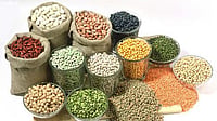 India Needs to Raise Food Grains Production to 450 Million Tonnes by 2047: Chaudhari