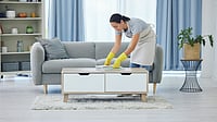 Is Pronto Recording Your Home? AI Pilot Triggers Privacy Concerns Representational image of a domestic worker cleaning a home amid rising AI privacy concerns