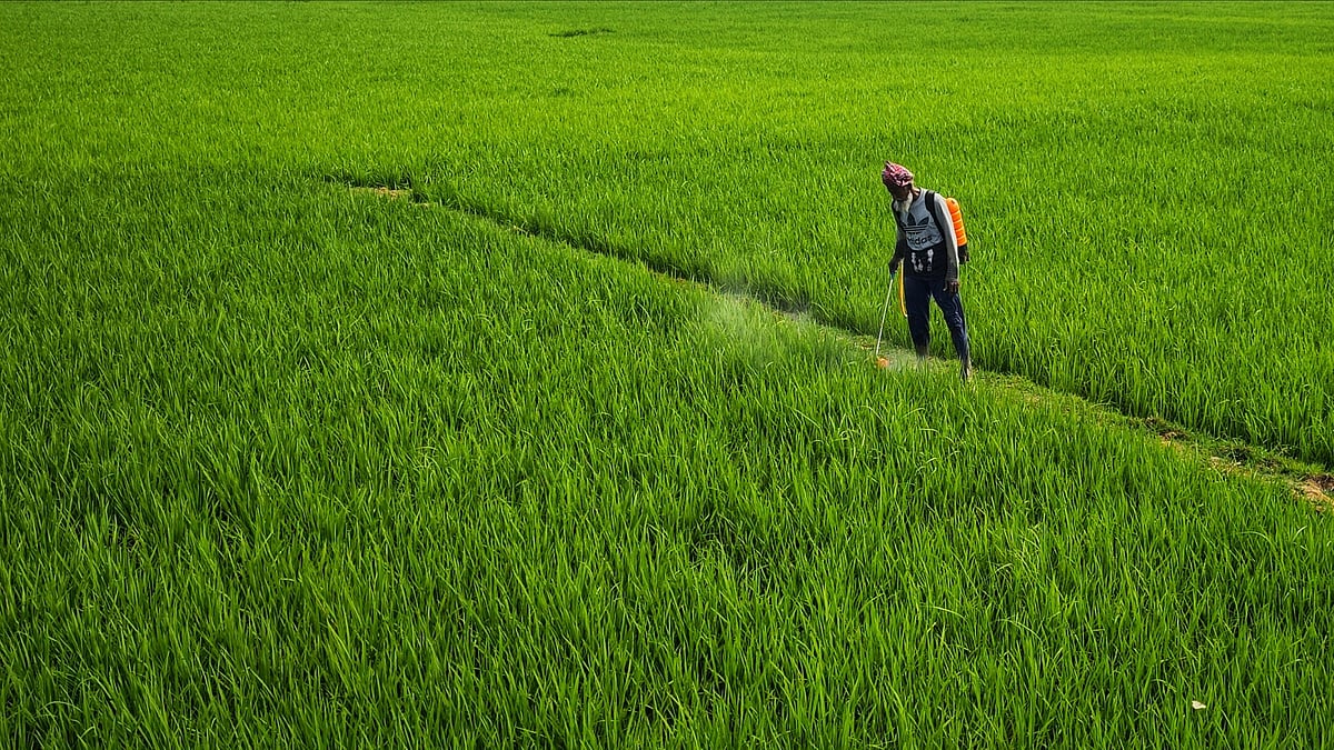CropLife India Urges Govt to Refrain From Hasty Curbs on Pesticides 