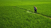 CropLife India Urges Govt to Refrain From Hasty Curbs on Pesticides CropLife India Urges Govt to Refrain From Hasty Curbs on Pesticides