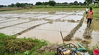 Regaal Resources Doubles Maize Processing Capacity With ₹389-cr Expansion at Kishanganj, Bihar Regaal Resources Doubles Maize Processing Capacity With ₹389-cr Expansion at Kishanganj, Bihar