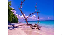 Andaman Travel Care Recognized For Customized Andaman Tour Packages And Honeymoon Travel Experiences Andaman Travel Care Recognized For Customized Andaman Tour Packages And Honeymoon Travel Experiences