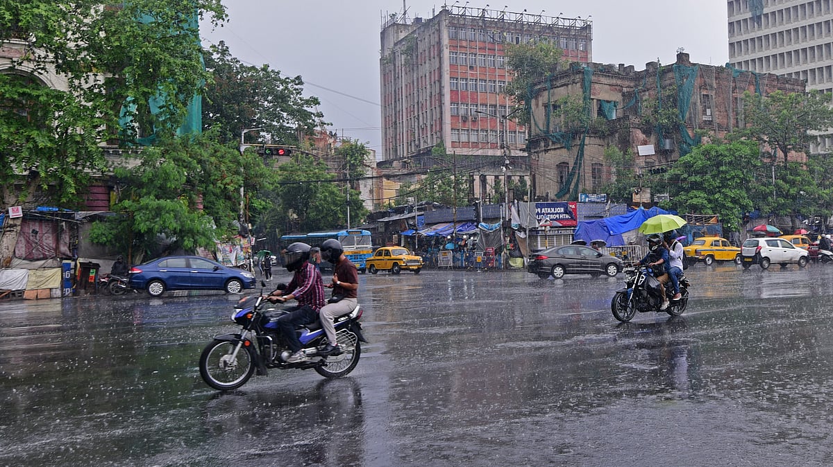 Monsoon rain - null