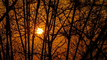 World May Breach 1.5 degrees Celsius Limit More Often by 2030, Warns WMO