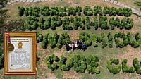 The Cube Club Creates World Record With 10,000 Plant Green Installation, Celebrates 1 Lakh Tree Plantation Milestone With Jackie Shroff The Cube Club sets a world record with a large plant-based tribute installation