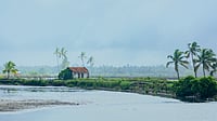 Monsoon Nears Kerala After Delay; Centre Activates Watch, Crisis Groups Clouds gather over the coast as India awaits the arrival of the southwest monsoon