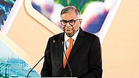 TCS Hiring Numbers Won't be Same Post AI, Says Chair Chandrasekaran File Photo : Tata Consultancy Services Chairman, N Chandrasekaran