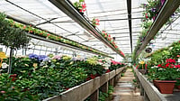 Horticulture Minister Directs Contractors to Complete HPSHIVA Project Works on Time Horticulture Minister Directs Contractors to Complete HPSHIVA Project Works on Time