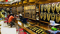 Nothing In It Is True: Rajesh Exports MD Denies SEBI's ₹15.15 Lakh Cr Fraud Findings Justdial : Representative Image