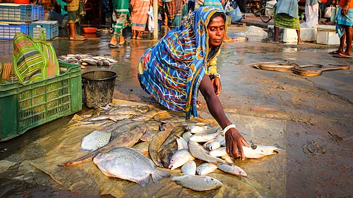 Food and Agriculture Organisation of United Nations : HP Govt Slashes Royalty on Fish Catch