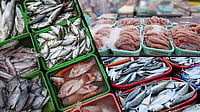 Seafood Exports