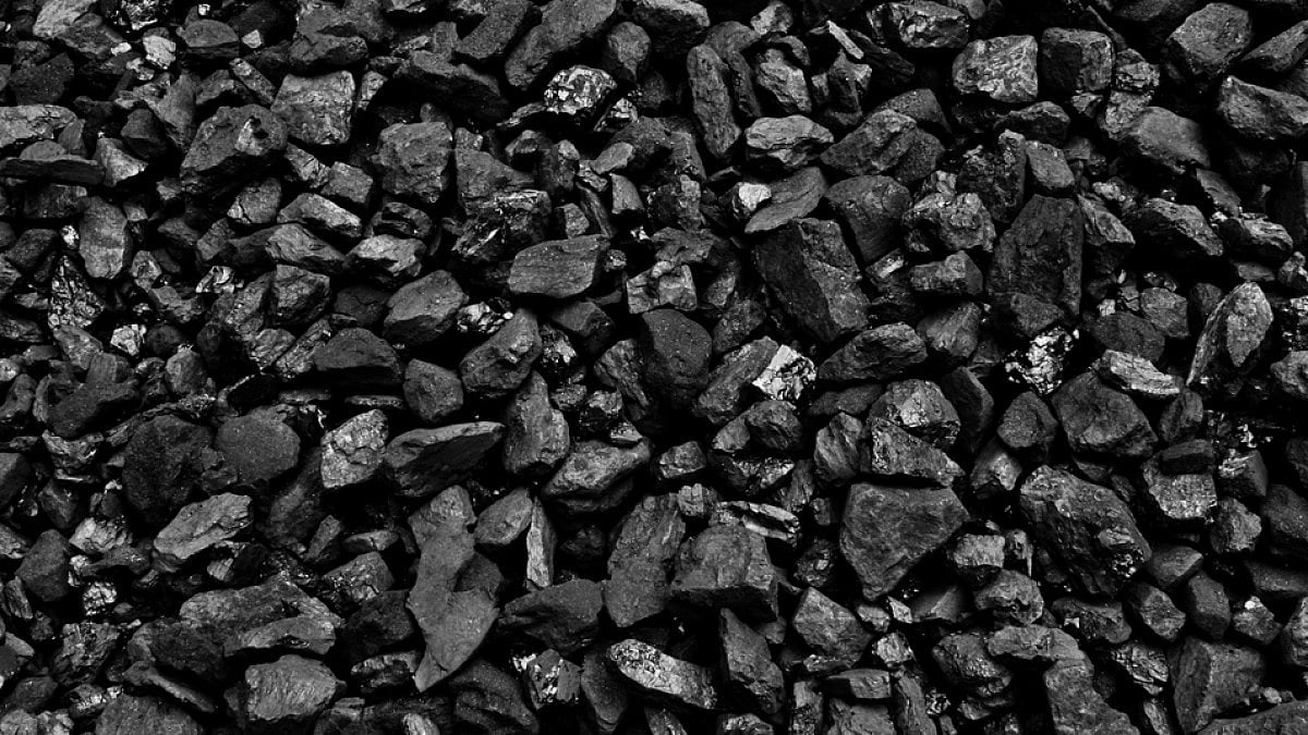 Coal Trade Exchange - null