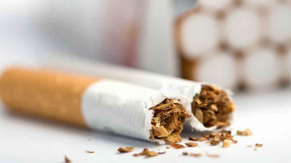  DRI Seize Cigarette Sticks - null