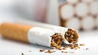  DRI Seize Cigarette Sticks