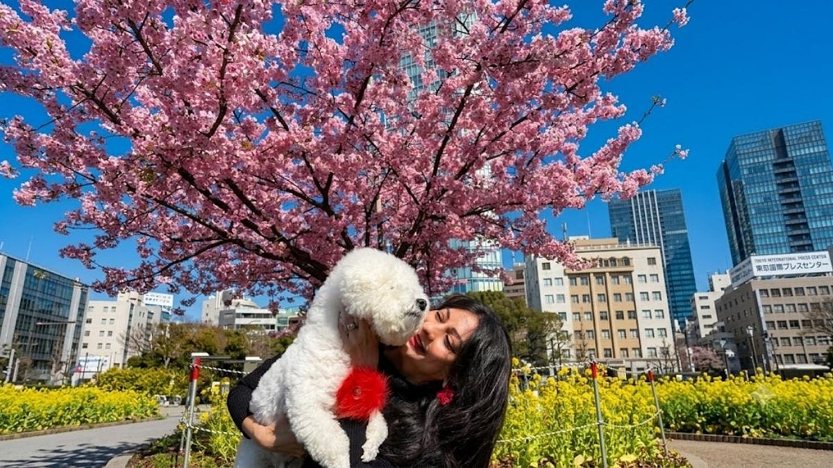 Rima Bhandari, Energy Healer, TEDx Speaker & Author, Tokyo - null