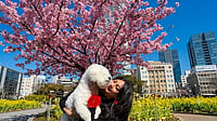 Healing Within: How One Woman Turned Her Deepest Struggle Into Her Greatest Purpose Rima Bhandari, Energy Healer, TEDx Speaker & Author, Tokyo